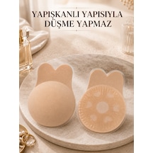 Çok Renkli