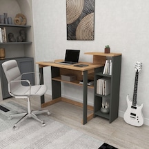 Antrasit - Atlantik Çam