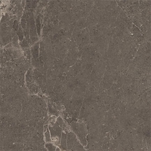 VitrA 60x60 Meteorite Fon Vizon R10b Porselen Karo K953498r0001vte0
