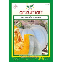 Arzuman Bal Kabağı Tohumu 10 GRam
