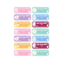 14 Adet Parlak Kuşe Okul Etiketi - İsim Yazılı Ve Ders Alanlı, Kesimli A4 Sticker Diğer