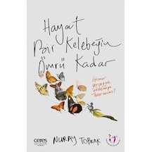 Hayat Bir Kelebeğin Ömrü Kadar