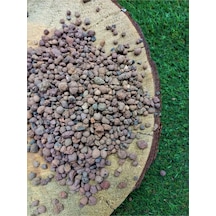 Asenya Kil Bilyesi 5 Lt 3-8 Mm Açık Kil Bilyesi Orkide Yetiştirme Ortamı Hidroponik Hidrokültür Toprağı 0