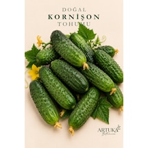 Doğal Kornişon Tohumu 50 Ad Ata Tohum