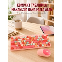 Diğer