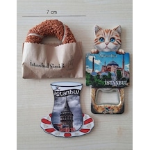 İstanbul'un Simgeleri Magnet Üçlü Seti