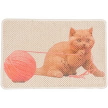 Karmat Resimli Kedi Tırmalama Paspası 40 x 60 CM