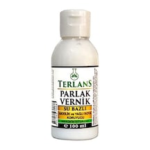 Su Bazlı Parlak Vernik 100 Ml Akrilik Ve Yağlı Boya Koruyucu