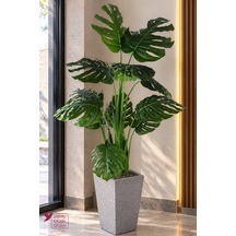Yeşil