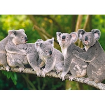 Castorland 120 Parça Koala Ailesi Puzzle