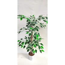 Rüzgar Yapay Çiçekçilik 90 Cm Ficus Ağacı Yeşil
