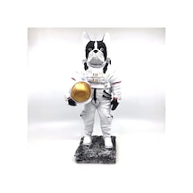 BY ARİ BULLDOG ASTRONOT BİBLO BB336-1