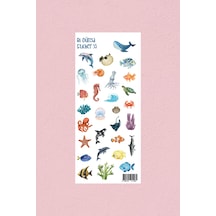 M35 Okyanus Temalı Sticker Seti Çok Renkli