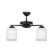 Siyah 2'li Modern Plofonyer Model Avize