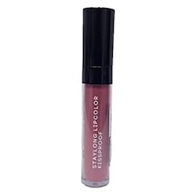Staylong Lipcolor-kissproof Uzun Süre Kalıcı Lipgloss-kırmızı Dut 5 Ml 343 0