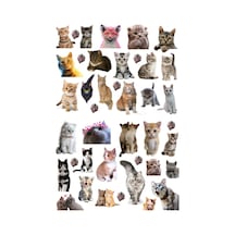 41'li Kedi, Kitty, Fairycore, Sevimli Hayvanlar Sticker Seti - Etiket Seti Scrapbook Bullet Journal Çok Renkli