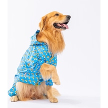 Pawstar İrides Fileli Orta ve Büyük Irk Köpek Tulum Yağmurluğu