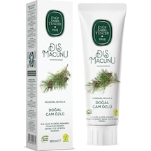 Doğal Diş Macunu 90 Gr Çam Özlü