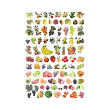 87 Adet Meyve Sticker Seti - Meyveler Etiket Seti Sketchbook Çok Renkli