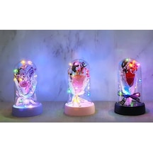 Magicool Led Işıklı Müzikli Cam Fanus İçinde Gül Buketi
