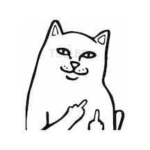 Kaba Komik Kedi Araba Çıkartmaları Su Geçirmez Kaba Komik Kedi Araba Çıkartmaları Su Geçirmez