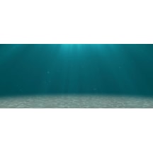 Kanki Pet 155 cmKP1556506 Akvaryum Arka Fon Yapıştırma  155x65 cm