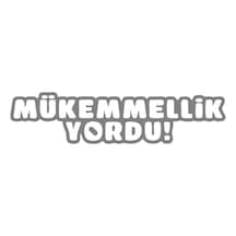 Mükemmellik Yordu Araba Sticker 17x17 Cm Gri