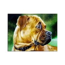 Talya Koruma Köpeği Buldog Kanvas Tablosu. Köpek Kuş At Aslan, Eski Harita, Oldmap, Antik Mısır, Uzay, New York Atatürk Dekoratif Duvar Pano 50x35