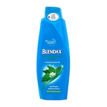 Blendax Isırgan Özlü Şampuan 500 ML