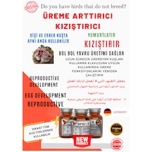 Feroxit Kızıştırıcı Ve Üreme Arttırıcı Tüm Kuş Türleri İçin 100 G