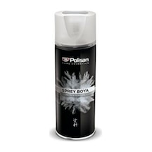 Polisan Üniversal Sprey Astar 400 Ml Diğer