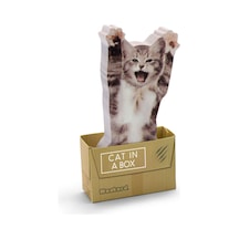 Mustard Cat İn A Box Yapışkanlı Not Kağıdı