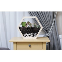 Tekli Altıgen Ahşap Duvar Saksısı (Masif Ahşap)