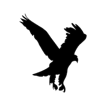 Folyo Sticker Kartal Adkpquy621 50cm Uzunluk Siyah