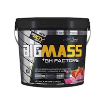 Bigjoy Bigmass Gainer +Gh Factors 3000 G/çilek
