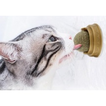 Büro Ev Evcil Hayvanı İçin Kedi Otu Oyun Topu