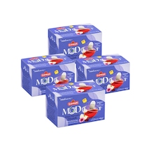 Mod Dört Mevsim Dinamik Bardak Poşet Çay 2x20 40gr. Dörtlü Paket