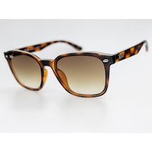Ray Ban Rb 4392 710/13 66-17 Unisex Güneş Gözlüğü Çok Renkli