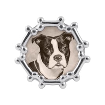 Köpek Kemik Yuvarlak Çerçeve Gümüş 4 X 6