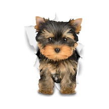 Kahverengi Yorkie Araba Sticker Dekorasyon Yapıştırma