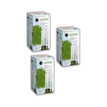3 Kutu Matcha Premium Japanese Toz Maça Çayı 20 X 10 G