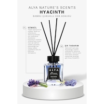 Nature's Scents Hyacinth Sümbül Bambu Çubuklu Oda Kokusu 100 Ml