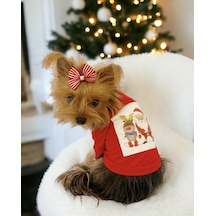 Santa And Friend Rudolph Köpek Tişörtü Yılbaşı Noel Christmas Köpek Elbisesi