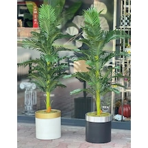 Rüzgar Yapay Çiçekçilik 180 Cm 30x30 Saksıda Areka Ağacı Yeşil