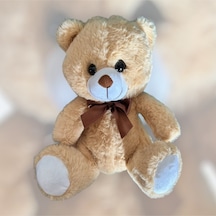 Peluş Ayı Çok Renkli
