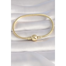 Pirinç Gold Renk İşleme Detay Charm Model Kadın Bileklik - Tj-bb5988 Çok Renkli