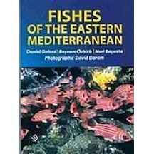 Fishes Of The Eastern Mediterranean- İlke Basın Yayın