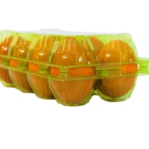 8 Li Yeşil Plastik Kapaklı Yumurta Viyolü 300 Adet