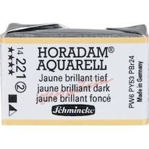Schmincke : Horadam Aquarell Artist Sulu Boya : Tam Tablet : Seri 2 221 Jaune Brilliant Dark
