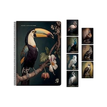 Exclusive Natura Karton Kapaklı Sp Defter 17x24 80 Yp Çizgili